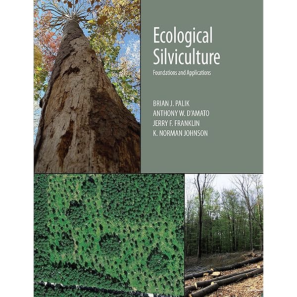 Amazon.com: Primate Behavioral Ecology: 9781138954366